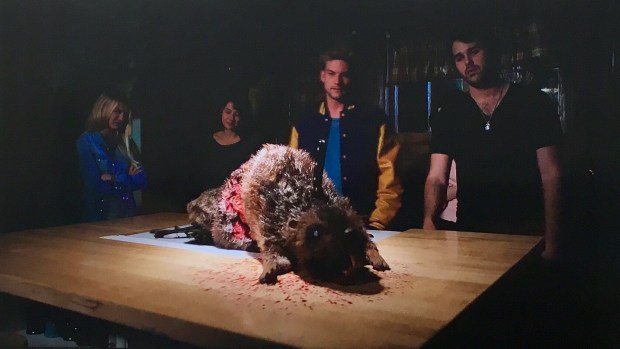 Zombeavers