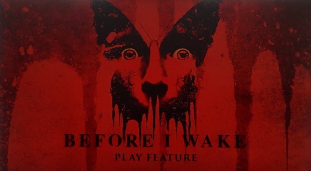 Before I Wake